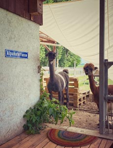 Angebote für Firmen
