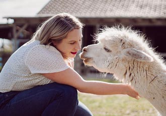 Fotoshootings mit Alpakas