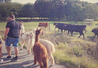 Kennelern Spaziergang