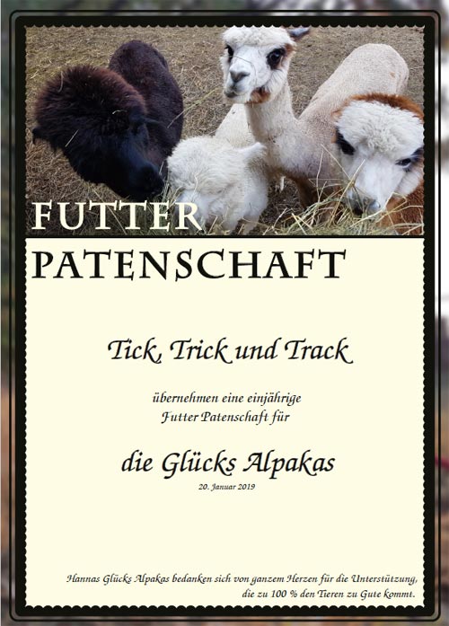 Hannas Glucks Alpakas Unterwegs Mit Alpakas In Und Um Iphofen