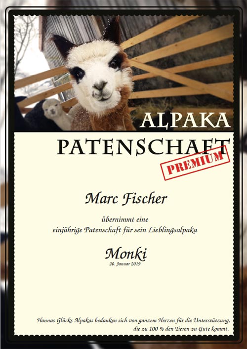 Hannas Glucks Alpakas Unterwegs Mit Alpakas In Und Um Iphofen
