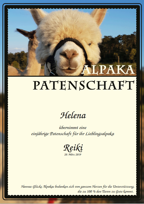 Hannas Glucks Alpakas Unterwegs Mit Alpakas In Und Um Iphofen
