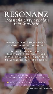In Resonanz: Alpakas, Asanas und Atem