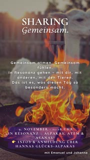 In Resonanz: Alpakas, Asanas und Atem