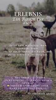 In Resonanz: Alpakas, Asanas und Atem