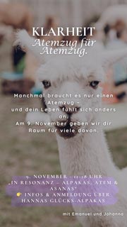 In Resonanz: Alpakas, Asanas und Atem