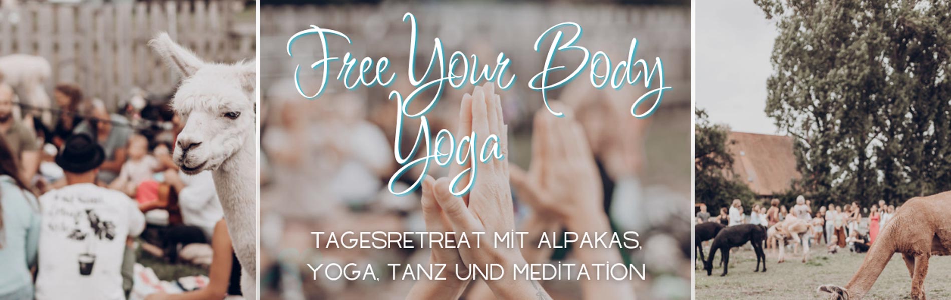 Hannas Glücks-Alpakas Hannas Glücks-Alpakas